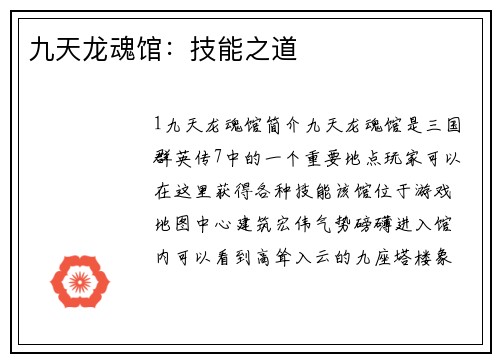 九天龙魂馆：技能之道